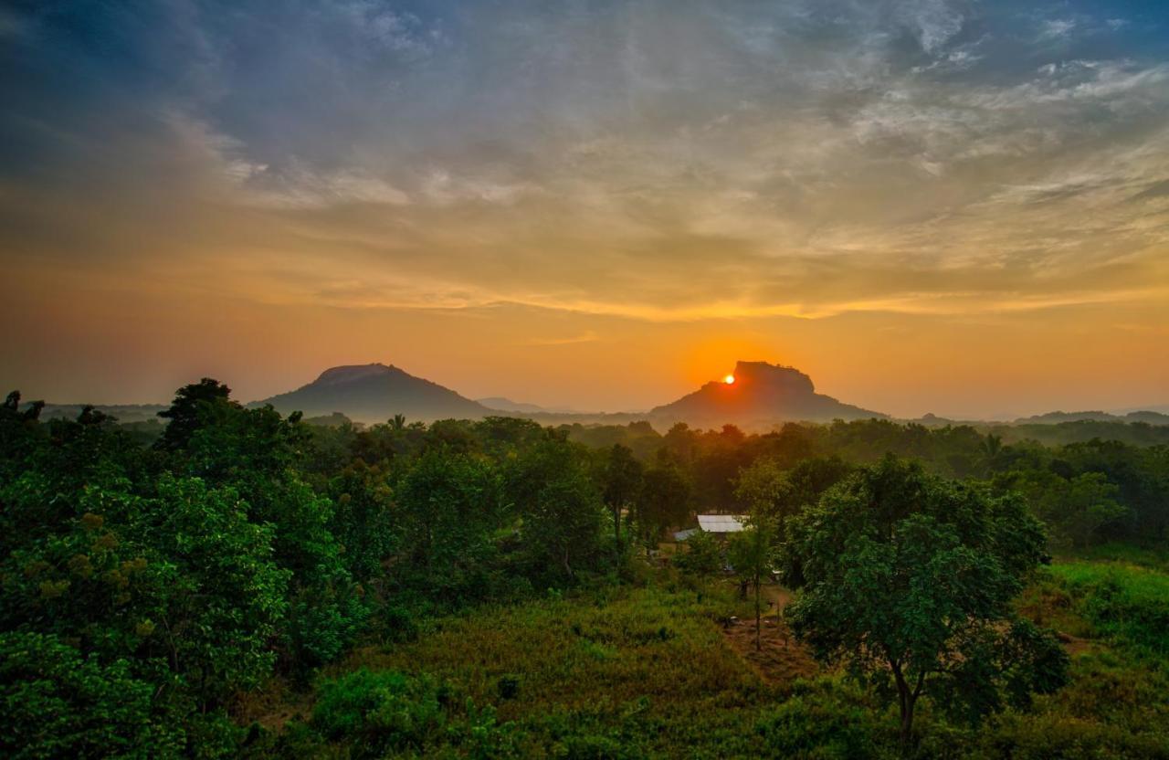 Choona Lodge 'View Of Sigiriya & Pidurangala With Sunrise' Ngoại thất bức ảnh