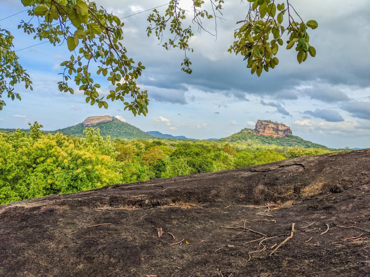 Choona Lodge 'View Of Sigiriya & Pidurangala With Sunrise' Ngoại thất bức ảnh