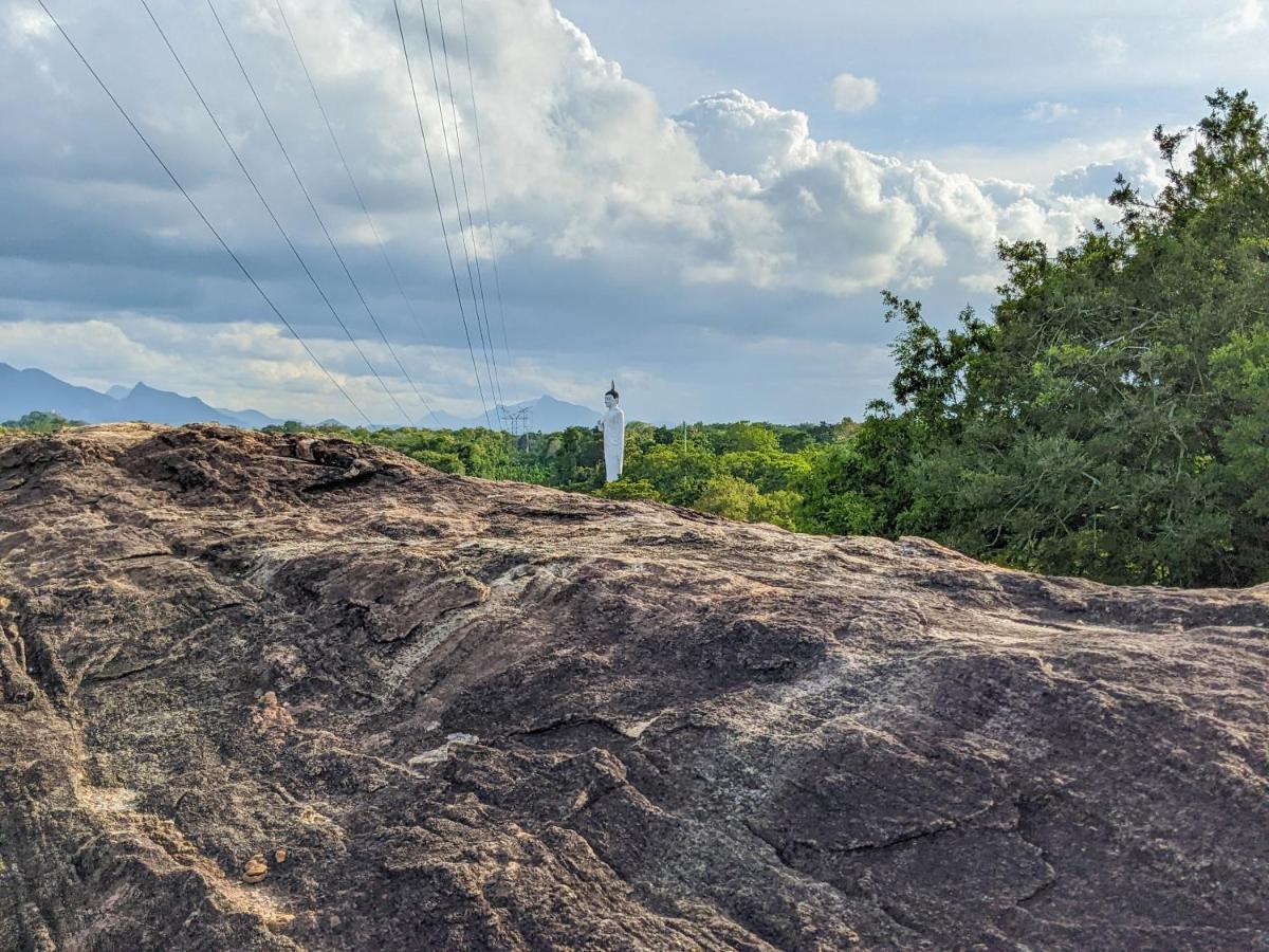 Choona Lodge 'View Of Sigiriya & Pidurangala With Sunrise' Ngoại thất bức ảnh